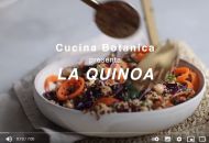 Quinoa - SuperFood Store Quinoa - SuperFood Store