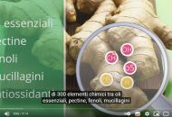 Zenzero - SuperFood Store Zenzero - SuperFood Store