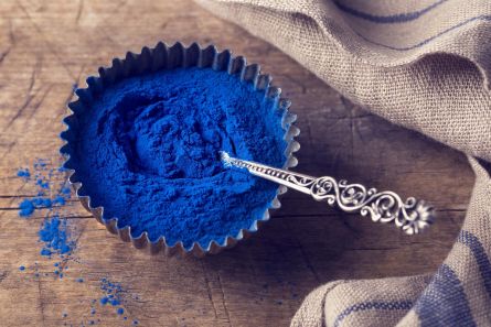 alga spirulina