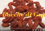 Bacche di Goji - SuperFood Store