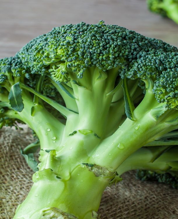 Broccoli - SuperFood Store Broccoli - SuperFood Store